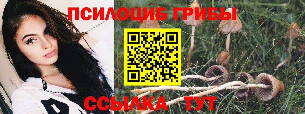 Мефедрон кристаллы  А ПВП СК   Вход с VPN  Менделеевск  Канабис  Кокаин  ГАШИШ 